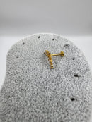 Piercing Silvia
